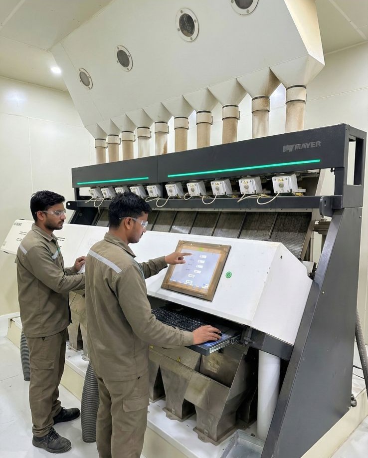 Workers operating Mayer color sortex machine